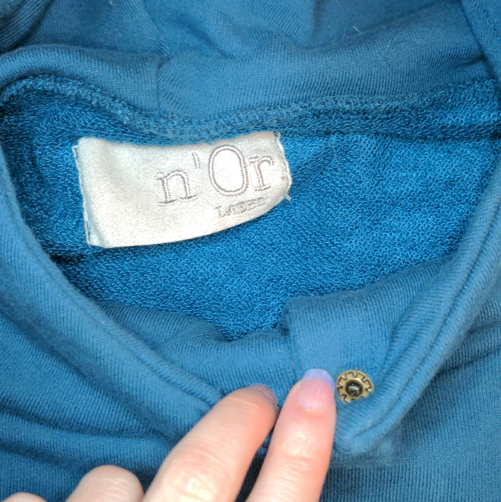 Men's Teal hoodie